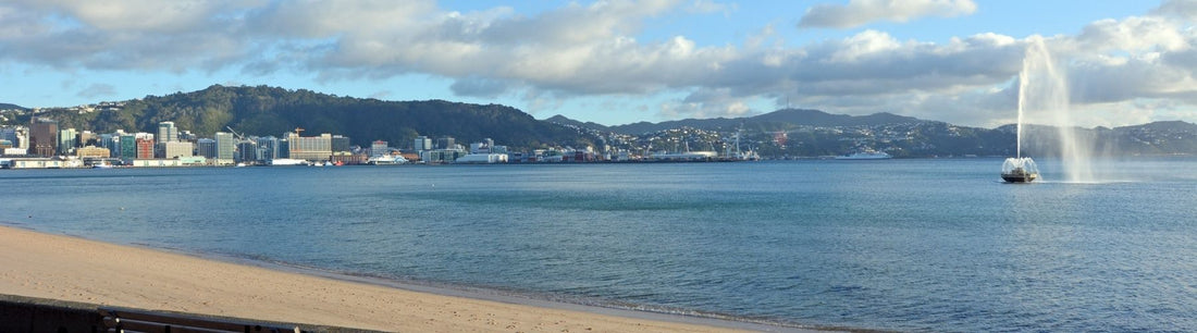 Oriental Bay
