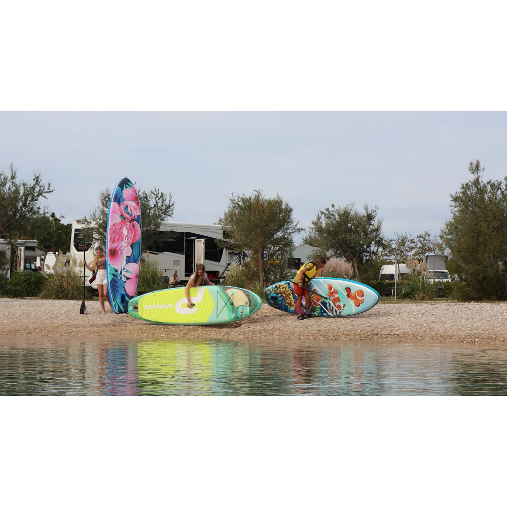 Pathfinder Clownfish (1)